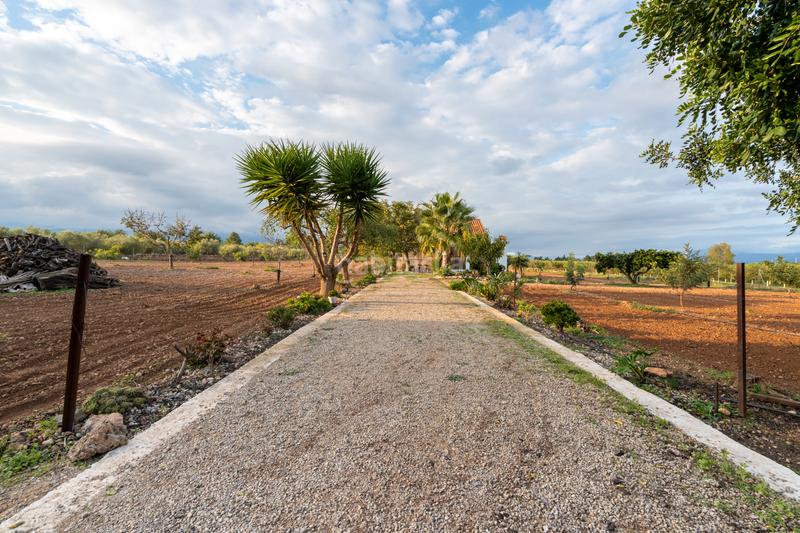 Foto 8a29c346-3735-4bc5-93c9-2c336ab664ac. Finca rústica a carretera del cementiri 9 a Santa Bàrbara