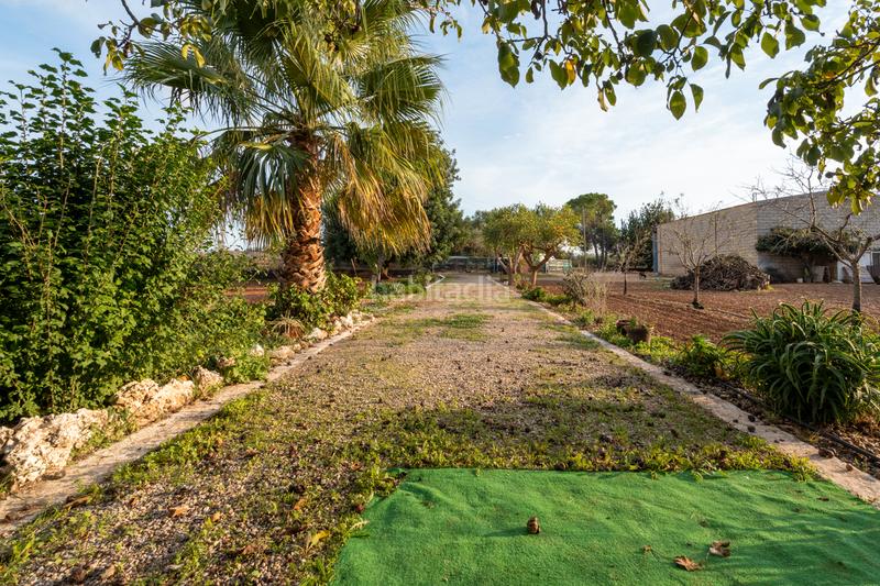 Foto b6c20f89-5825-4e90-bfa5-c1e648e63611. Finca rústica a carretera del cementiri 9 a Santa Bàrbara