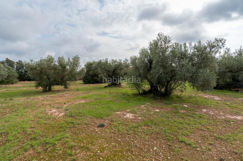 Foto 1bd15a7b-edfb-41be-b730-72d0b2decf20. Rural plot in Aldover