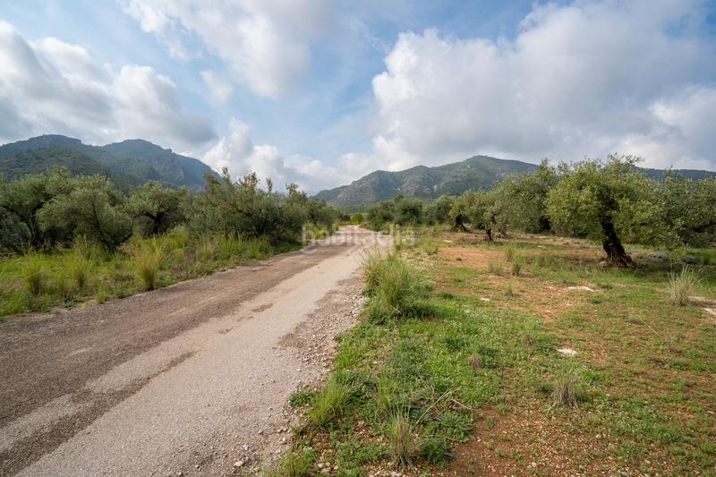 Foto 67715795-cb47-40ca-bb36-c3d477f13ea1. Rural plot in Aldover