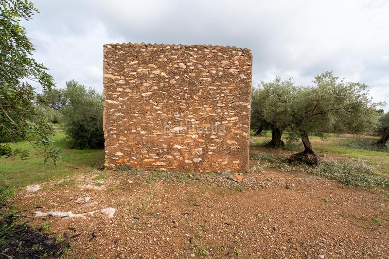 Foto 72e98711-3a52-4bdc-a912-07dc91ca8b08. Rural plot in Aldover