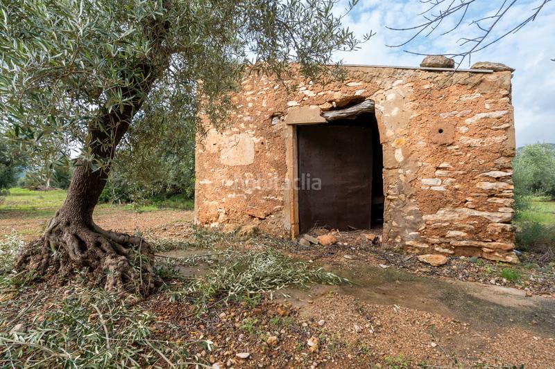 Foto b7bd174d-302e-4da7-8b13-86f4d9c95906. Rural plot in Aldover