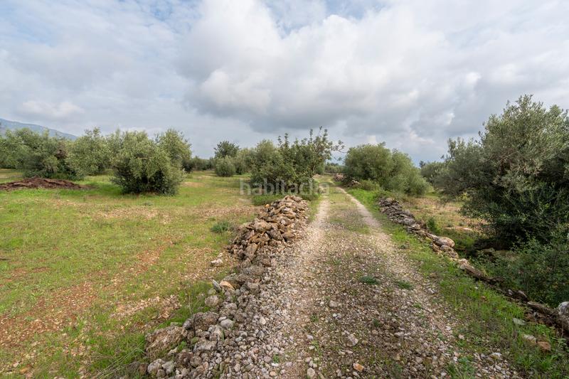 Foto c50d24af-b912-4dbc-95e6-d77de37bf9ad. Rural plot in Aldover