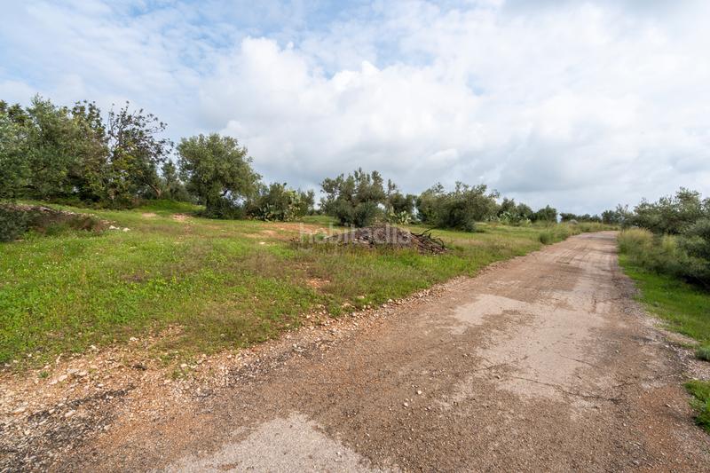 Foto d95253a2-061b-4548-8d0e-9b2b48ecb03b. Rural plot in Aldover