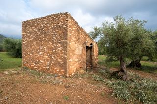 Finca rústica a Aldover. Finca rústica plana de olivos con casa de aperos