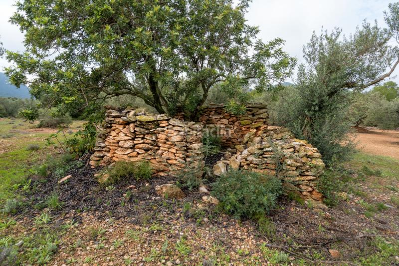 Foto fb9c37d7-aa25-403d-9d1b-19309f04f510. Rural plot in Aldover