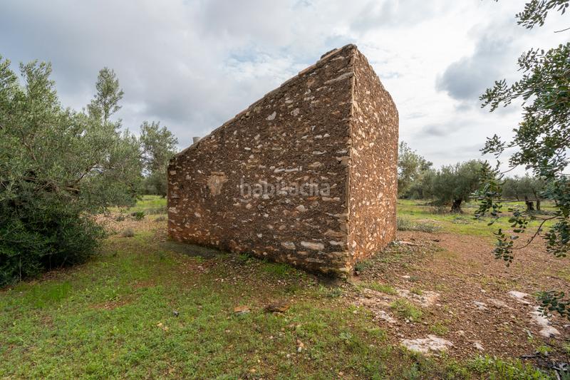 Foto fdcf8754-7a94-43a0-b9c8-a63eb60514b6. Rural plot in Aldover