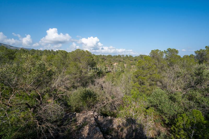 Foto 03bacf5d-891c-4457-92e5-e7cbb03dd5e4. Propriété dans c-12 30 dans Xerta