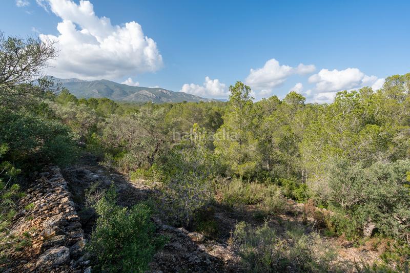 Foto 4227f6c4-262a-40f8-b15d-fce95829f746. Propriété dans c-12 30 dans Xerta