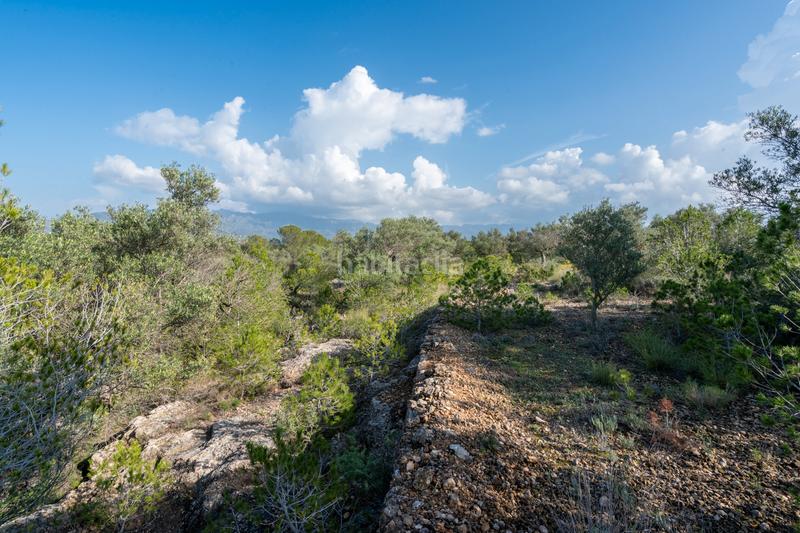 Foto 4a3fafb3-0935-40c7-91f9-133ec36ab7f5. Propriété dans c-12 30 dans Xerta