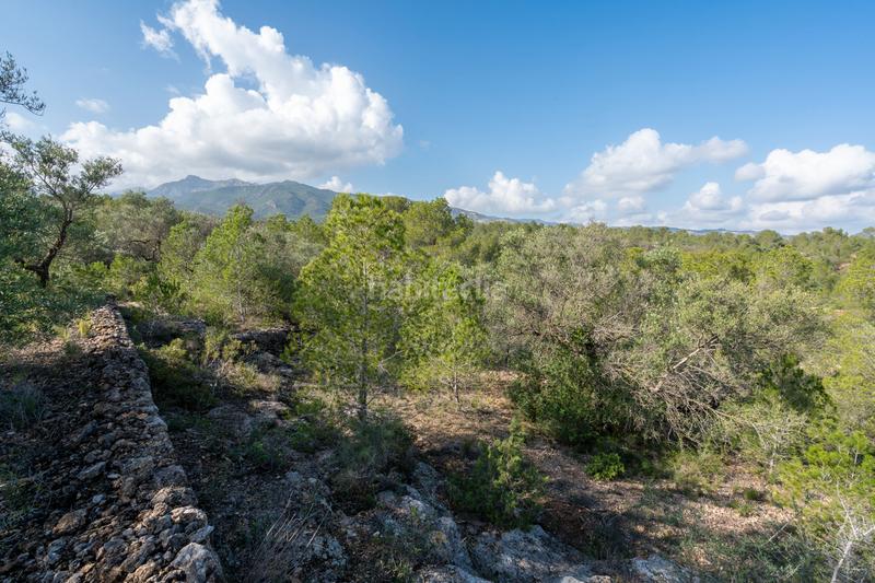 Foto 599b40e2-1fdb-4e47-9b0f-50d04259d754. Propriété dans c-12 30 dans Xerta