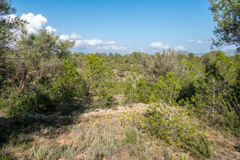 Foto 9aea9f12-4e2b-434c-8984-5b9765252447. Propriété dans c-12 30 dans Xerta