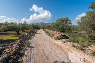 Rural plot in C-12 30. Finca rústica con olivos y pinos con gran desnivel