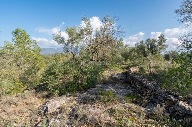 Foto c292e1ff-d3ef-4b22-b9d5-0958fe7f169d. Propriété dans c-12 30 dans Xerta