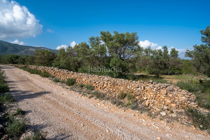 Foto d26b60e5-3c50-4410-ae5d-4cbbc1a15dcf. Propriété dans c-12 30 dans Xerta