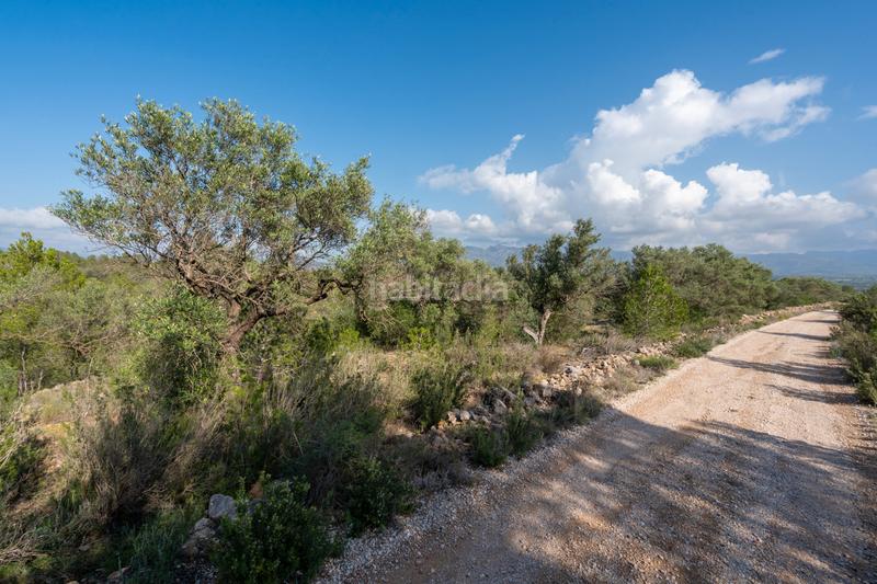 Foto eb6ca1f3-7a26-46e0-9aec-3eb4d964fcee. Propriété dans c-12 30 dans Xerta