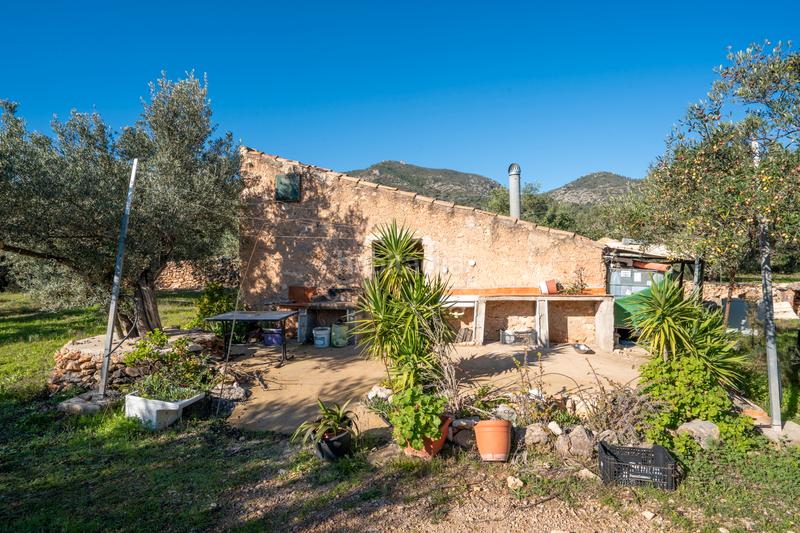 Foto 1e00fd5d-4303-4900-9b7c-e1ec89f8f09b. Finca rústica a n/a a Xerta