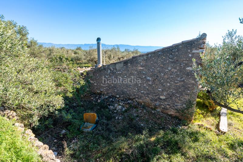 Foto 1f315a4f-9135-4105-b2d7-85606a66a0ac. Finca rústica a n/a a Xerta