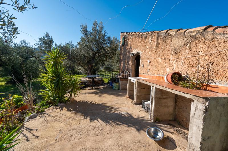 Foto 3987cd19-eaf1-4b13-895c-5a98f764c7c0. Finca rústica a n/a a Xerta