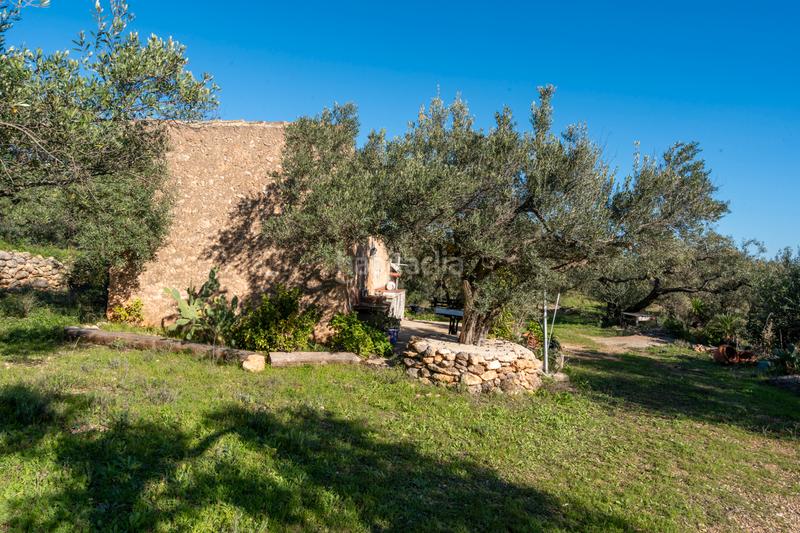 Foto 61dff8b3-f087-44ce-ae47-6667a798fc7a. Finca rústica a n/a a Xerta