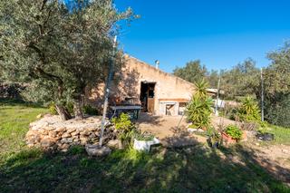 Rural plot in N/a. Finca rústica de olivos y casa de aperos con buenas vistas