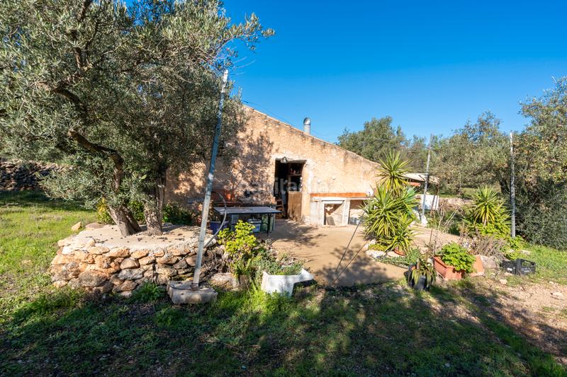 Foto 6b38666b-58ce-4374-bca2-f4d499f82f1d. Finca rústica a n/a a Xerta