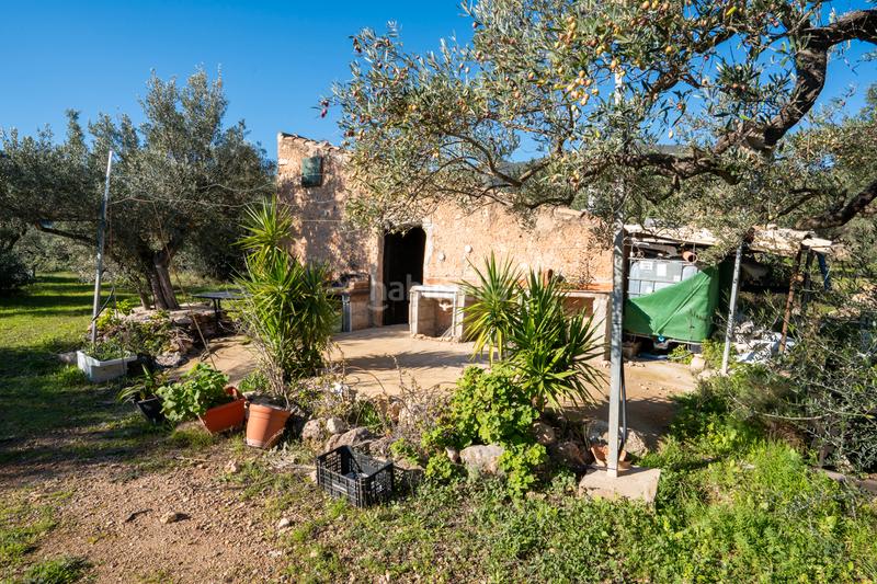 Foto 84945d49-fff4-4b06-802b-a534c1c1f95d. Finca rústica a n/a a Xerta