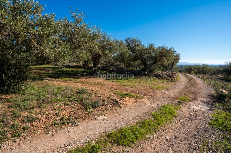 Foto c6296f2e-f5b7-48e6-a1e5-f3ccc7fb37d1. Finca rústica a n/a a Xerta