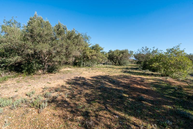 Foto fb11bcc7-c7a0-4de1-a9d6-386baa8b8d1f. Finca rústica a n/a a Xerta