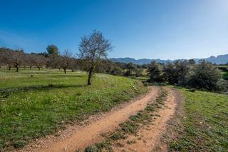 Finca rústica a Horta de Sant Joan. Finca de almendros completamente plana. no hay ninguna edificaci