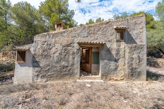 Finca rústica a Vial camino 28. Finca rústica de olivos y pinos con una ruina para reformar