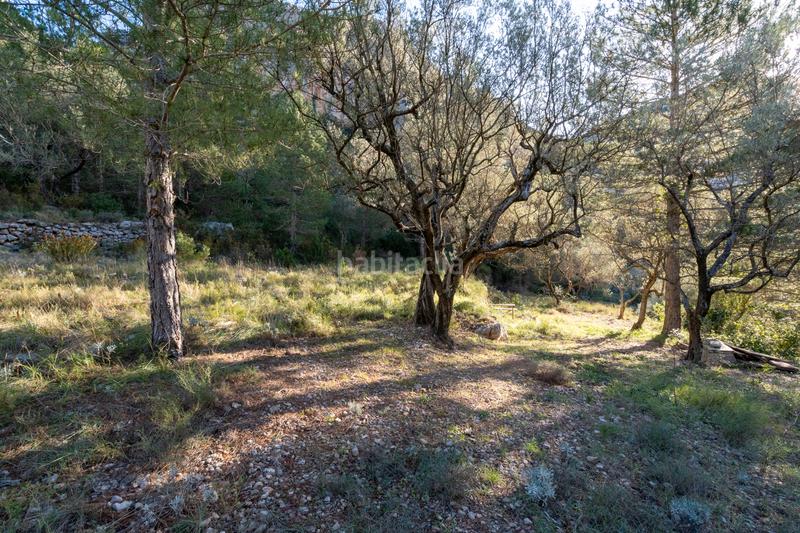 Foto 09f5c39a-b76a-4f24-9c16-36d198df0a4c. Rural plot in carrer major 22 in Mas de Barberans