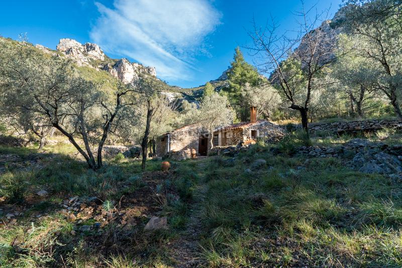 Foto 2c816aac-4e98-4504-8fae-88e8fa1de69a. Rural plot in carrer major 22 in Mas de Barberans