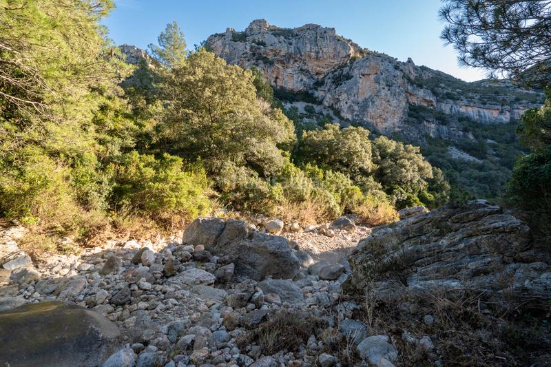 Foto 53f23c06-ae8d-42cc-aeb3-918ed51bdb59. Rural plot in carrer major 22 in Mas de Barberans