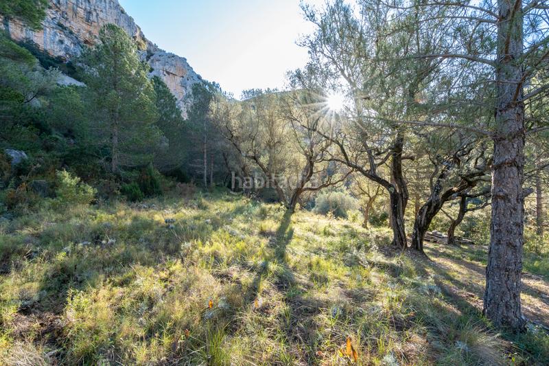 Foto 94b745f3-84dc-4123-a54b-b364658c2e8a. Rural plot in carrer major 22 in Mas de Barberans