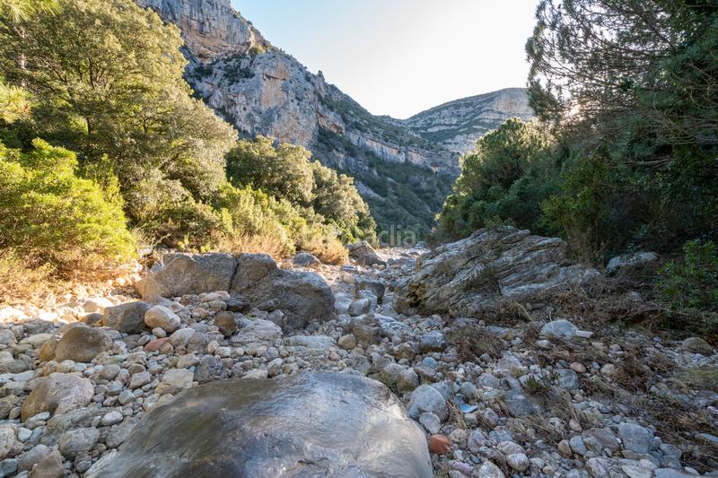 Foto a014982b-6f1b-4fa6-ab5c-5ed2a835f2db. Rural plot in carrer major 22 in Mas de Barberans