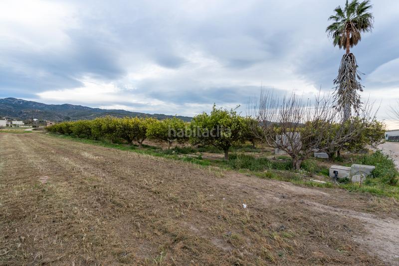 Foto 1a41b11c-a067-474d-92a6-0619f45dee54. Bauernhof in caminal de la masada 46 in Bítem Tortosa