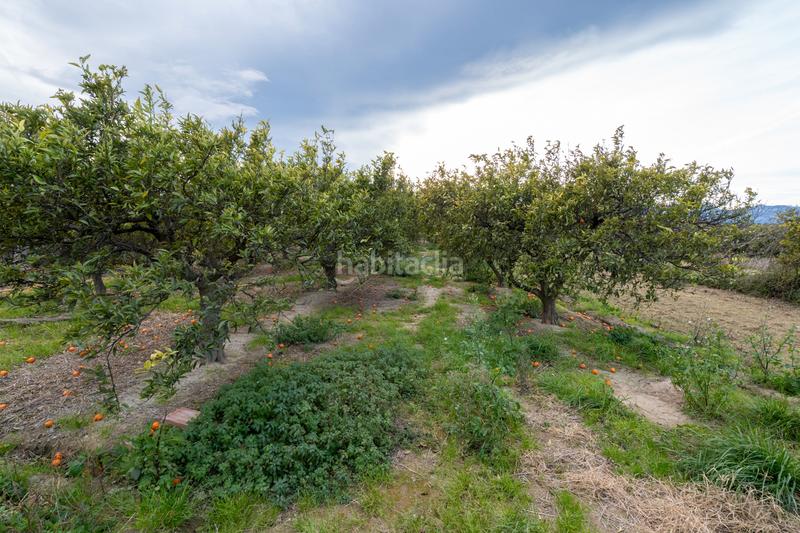 Foto 9168bd7d-a0c5-4755-8ed1-44c708b81bfb. Bauernhof in caminal de la masada 46 in Bítem Tortosa