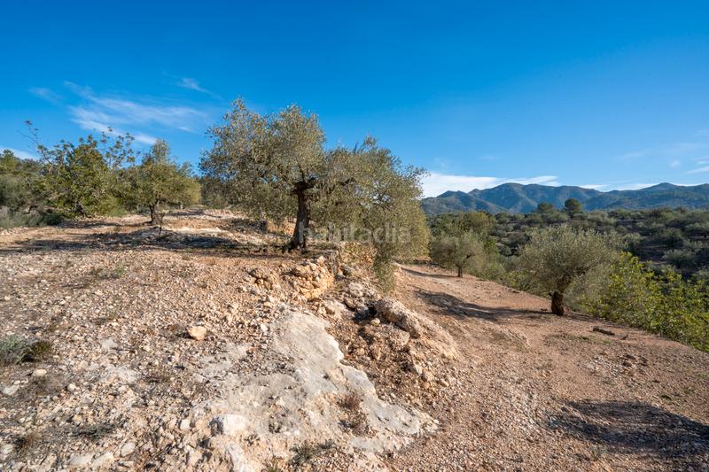 Foto 020b96ed-6fc9-4f55-b2c5-a9743e701857. Finca rústica a Bítem Tortosa