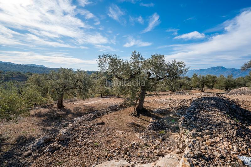 Foto 02b17cb6-d7de-416e-9b32-c079f02fda9a. Finca rústica a Bítem Tortosa