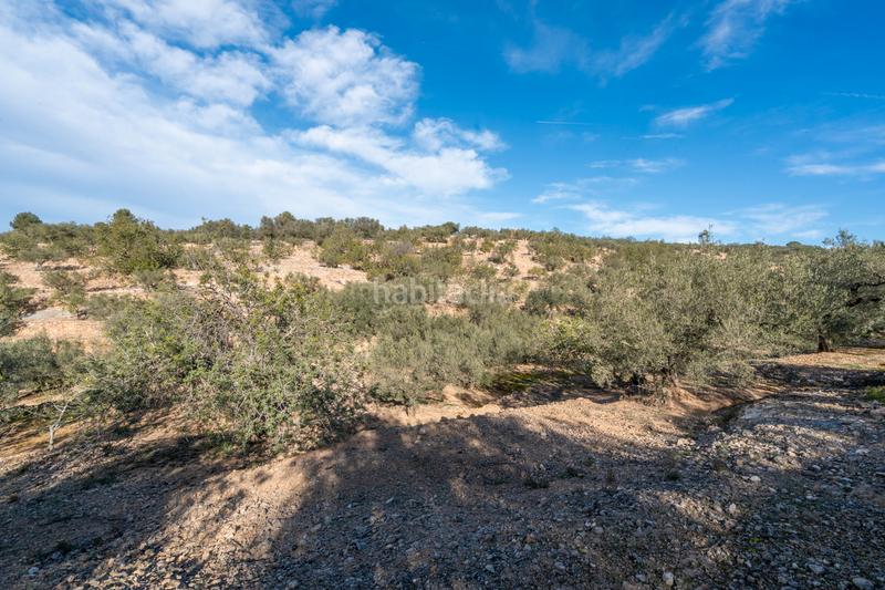 Foto 0a8521d1-2b7a-4f95-ae6a-7cdb69775fc4. Finca rústica a Bítem Tortosa