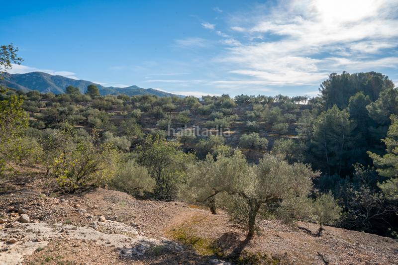 Foto 3c8f89da-3a15-43b7-a22c-393e43b20d74. Finca rústica a Bítem Tortosa