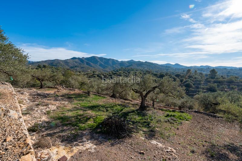 Foto 4a6f6a63-6a4e-4342-8d2c-d5550dce36bf. Finca rústica a Bítem Tortosa