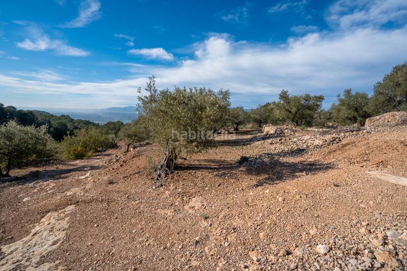 Foto 84f3d6a0-8447-4521-a51f-198ca73e7de4. Finca rústica a Bítem Tortosa