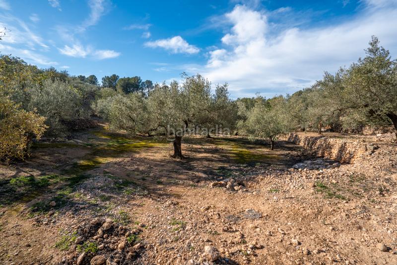 Foto f3d8cd7b-a0c0-45b5-a3fa-2d2ba7b85c2d. Finca rústica a Bítem Tortosa
