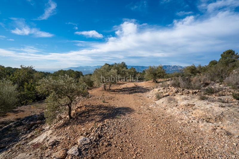 Foto ff2ec70d-ead1-4b26-b3db-64ff2e58d088. Finca rústica a Bítem Tortosa