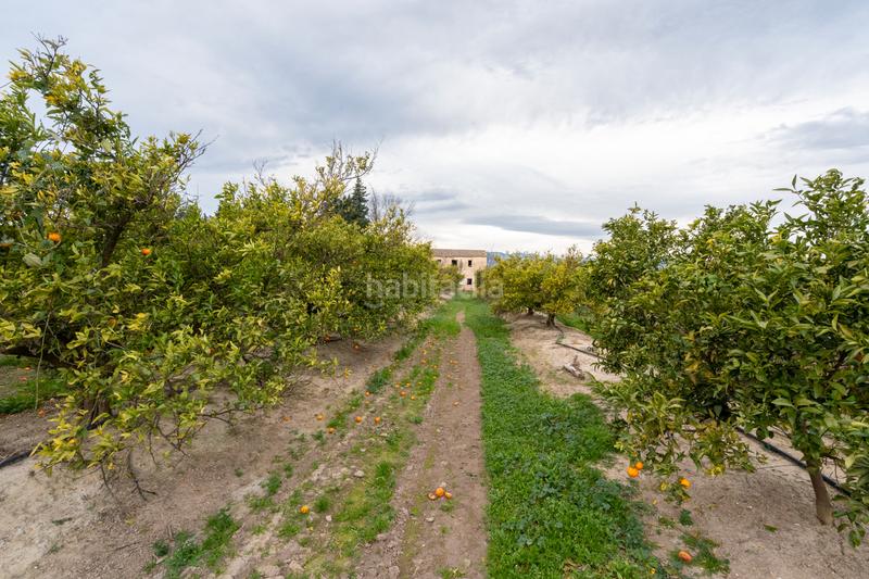 Foto 1c66d97f-a741-414e-8deb-eb3d10bc01f5. Landgut in partida sant bernabe 466 in Jesús - Els Reguers Tortosa