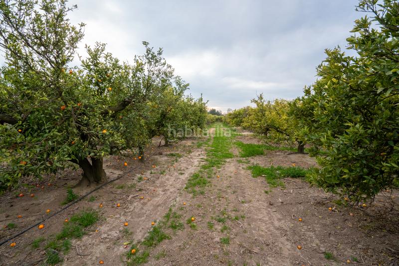 Foto 59e70572-308e-49c6-a827-f3e5f16a2703. Landgut in partida sant bernabe 466 in Jesús - Els Reguers Tortosa