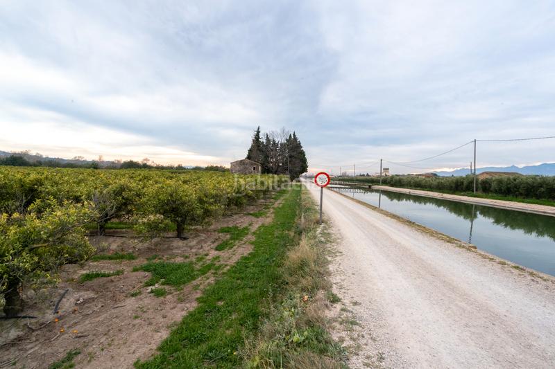 Foto b231289c-2898-45ce-b251-0cc68ada5438. Landgut in partida sant bernabe 466 in Jesús - Els Reguers Tortosa
