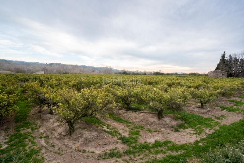 Foto c28d4b61-239b-42e5-856d-042276b68035. Landgut in partida sant bernabe 466 in Jesús - Els Reguers Tortosa